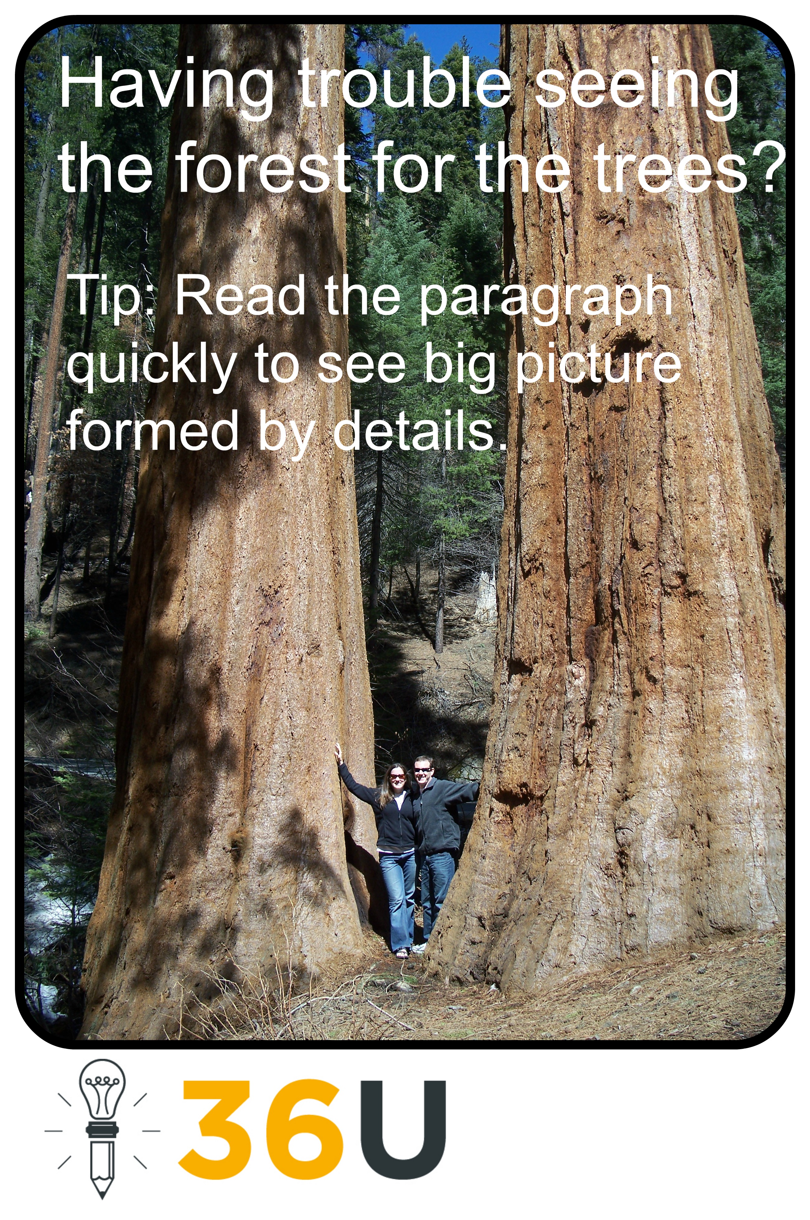 ACT Reading Trees (M)
