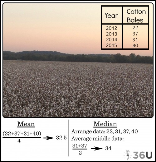 CottonTip10,27,15