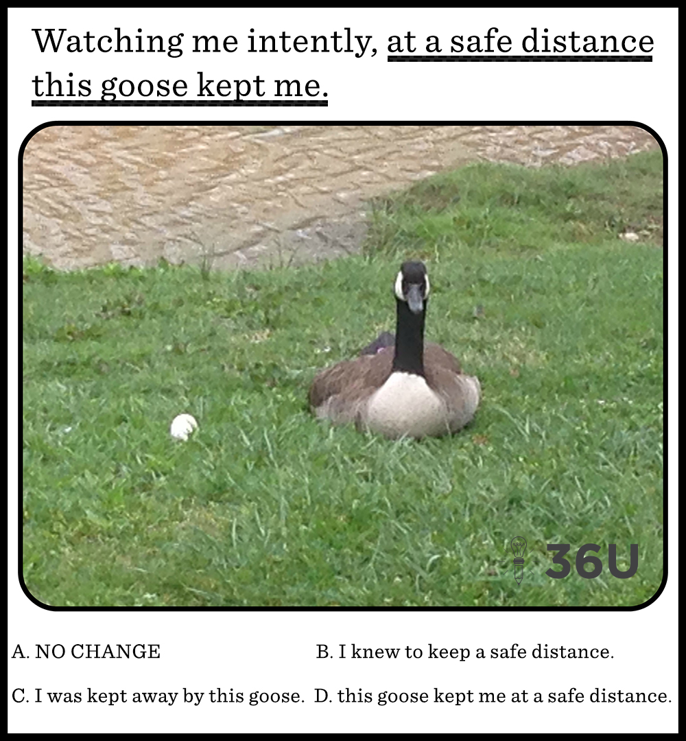Goose4.4.16Tip(M)