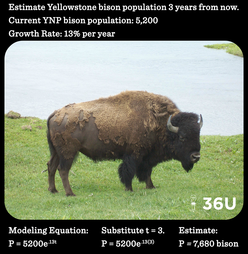 BisonTip12.23.16v4.0(resized)
