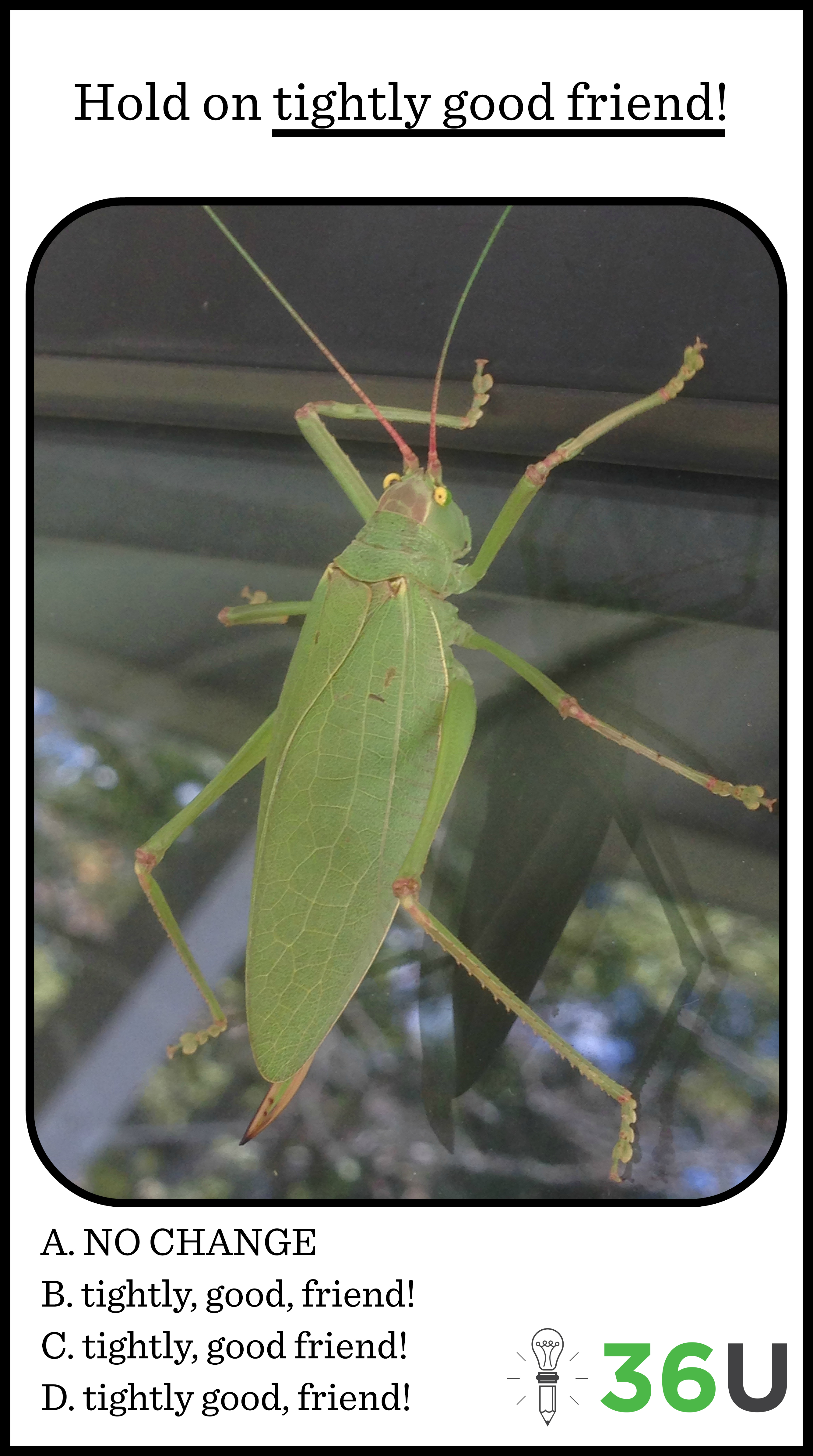 insect9-22-16tip