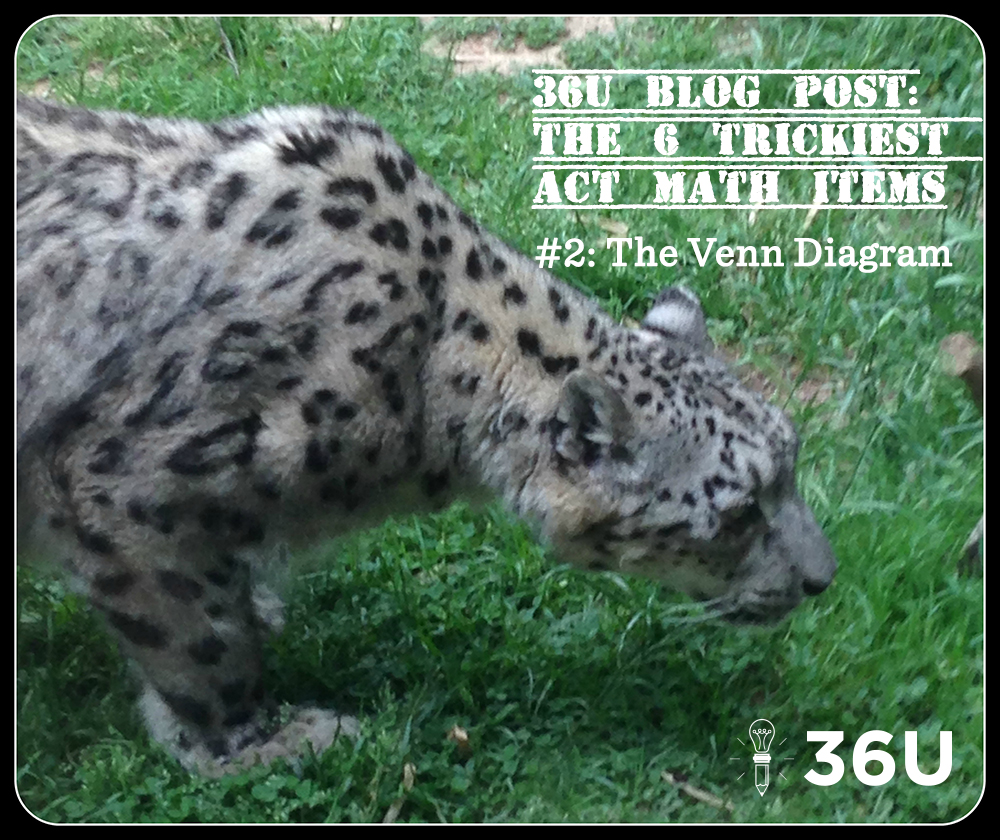 act-prep-math-tricky-items-pic5-leopard