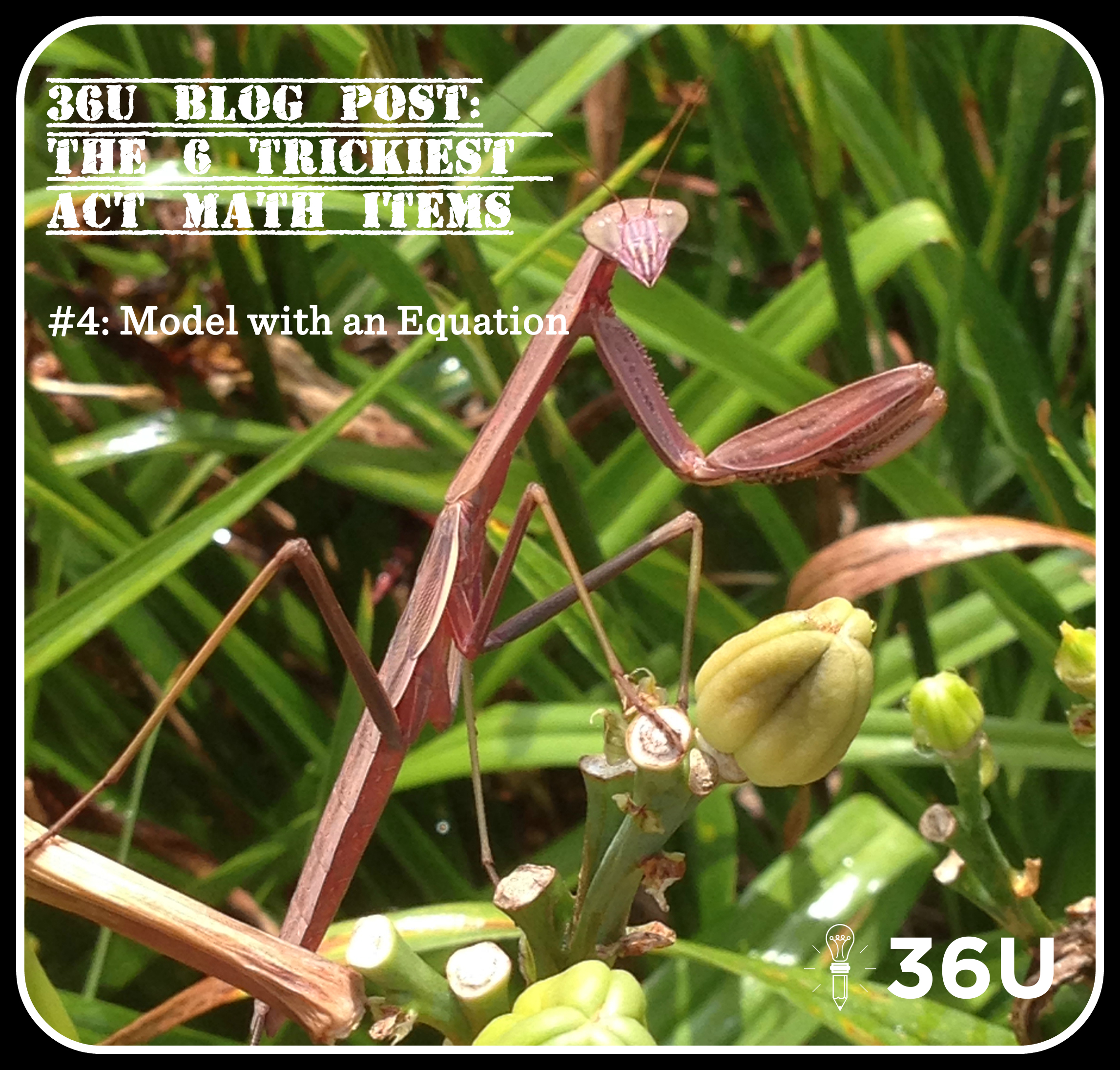 act-prep-math-tricky-items-pic3-praying-mantis
