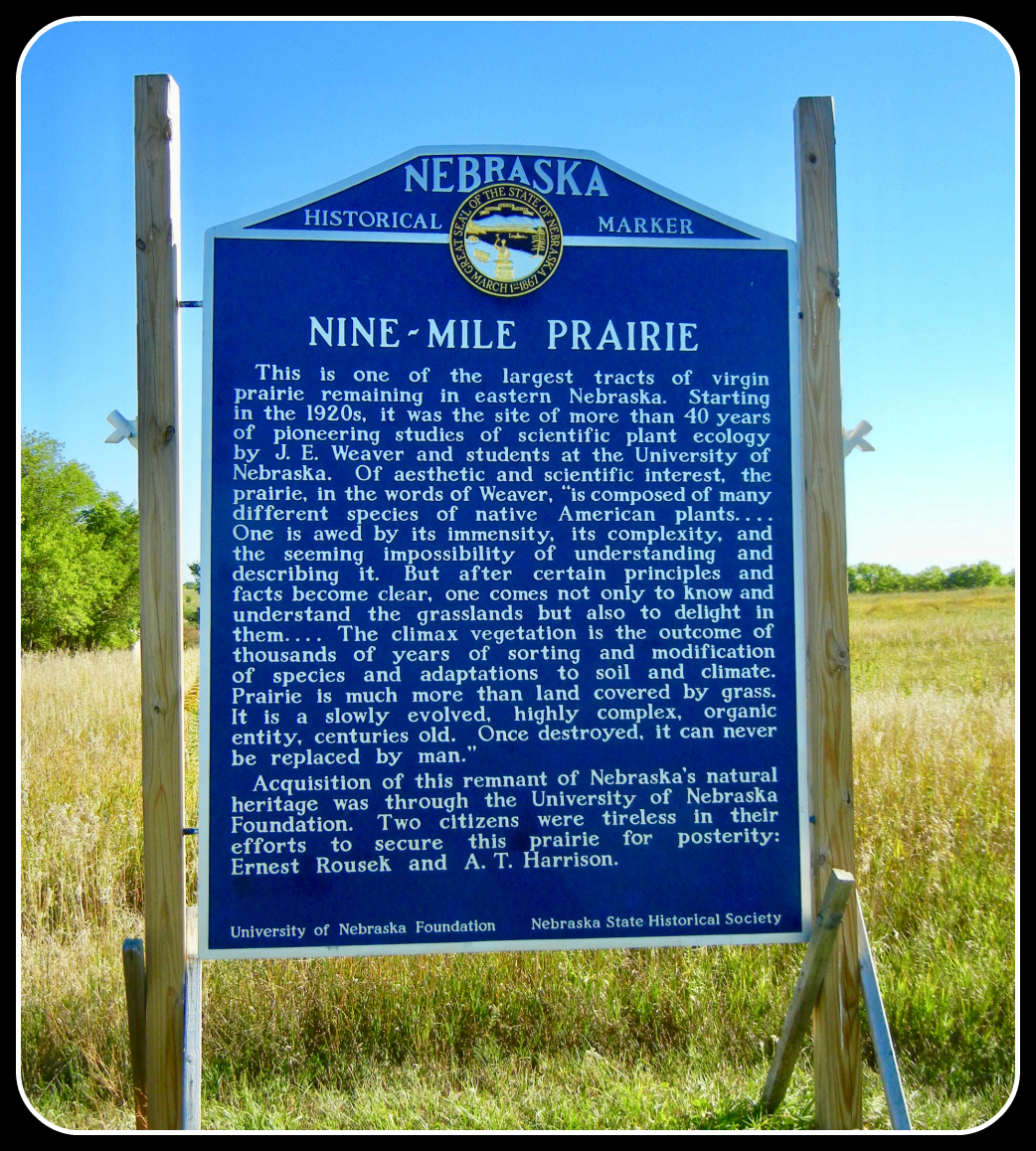 act-prep-solar-eclipse-pic6-nine-mile-prairie