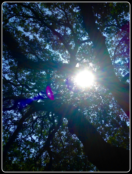 act-prep-solar-eclipse-sun-pic